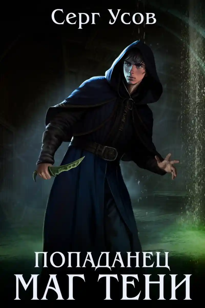 Попаданец. Маг Тени. Книга 12